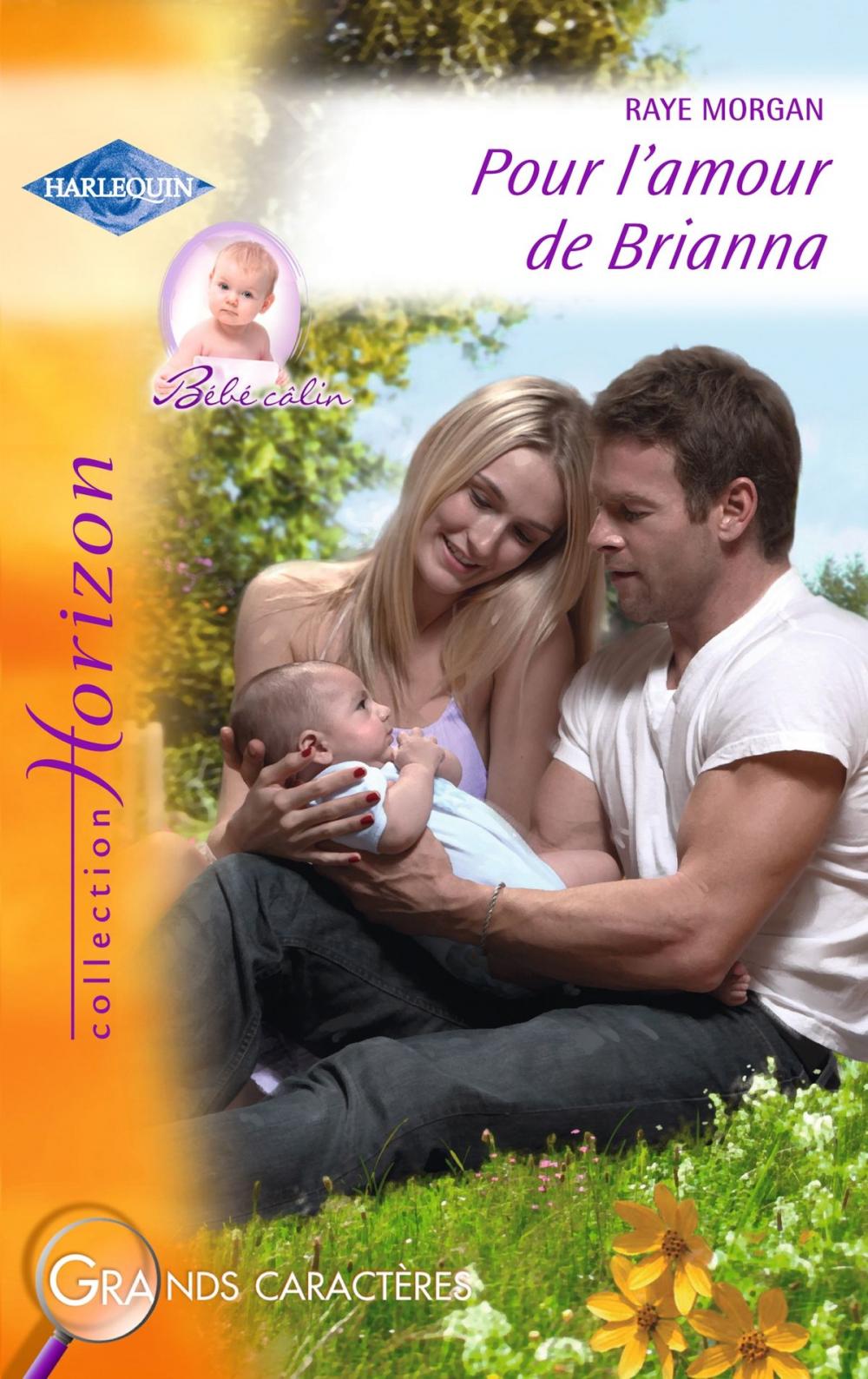 Big bigCover of Pour l'amour de Brianna (Harlequin Horizon)