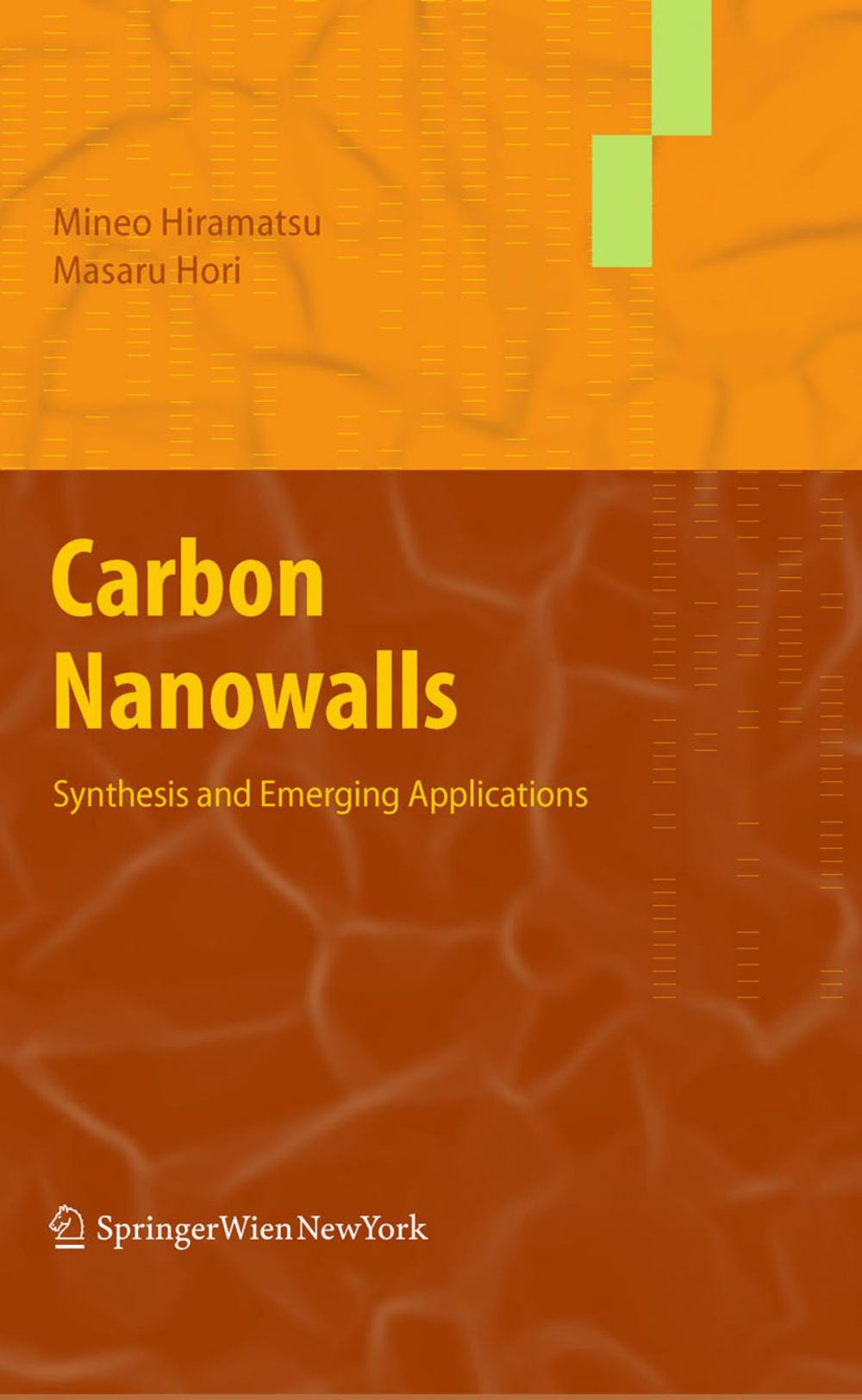 Big bigCover of Carbon Nanowalls