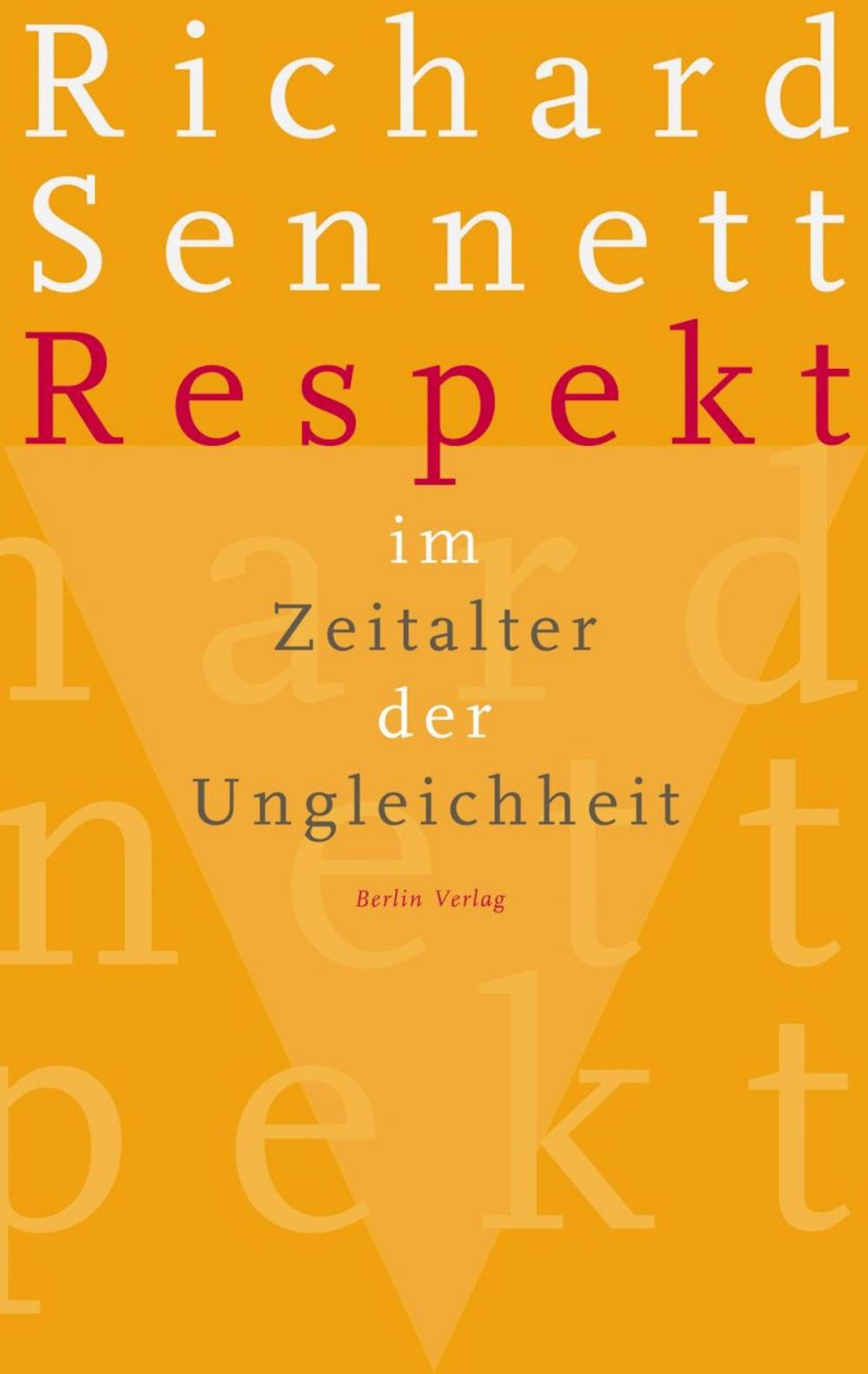 Big bigCover of Respekt im Zeitalter der Ungleichheit