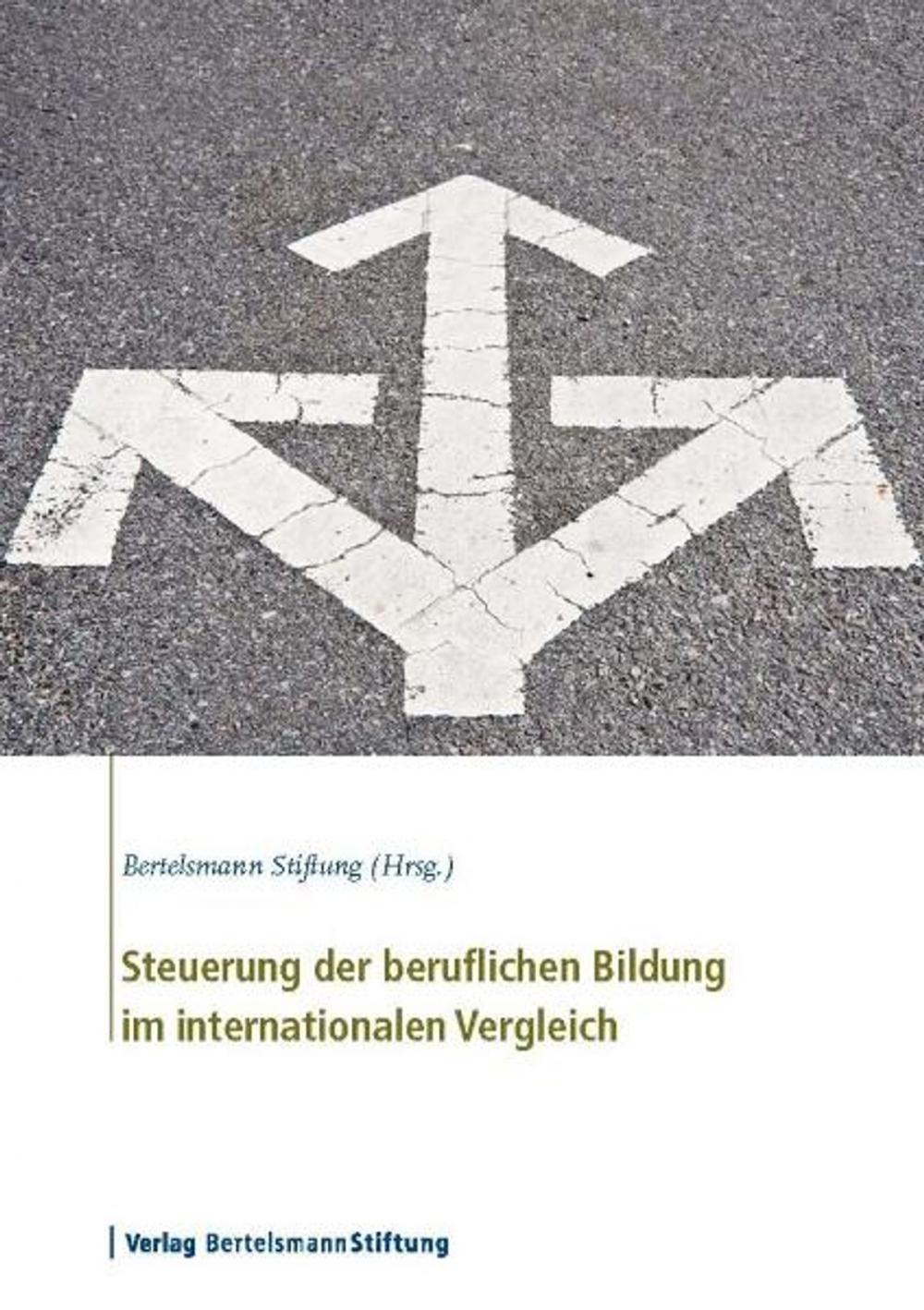 Big bigCover of Steuerung der beruflichen Bildung im internationalen Vergleich