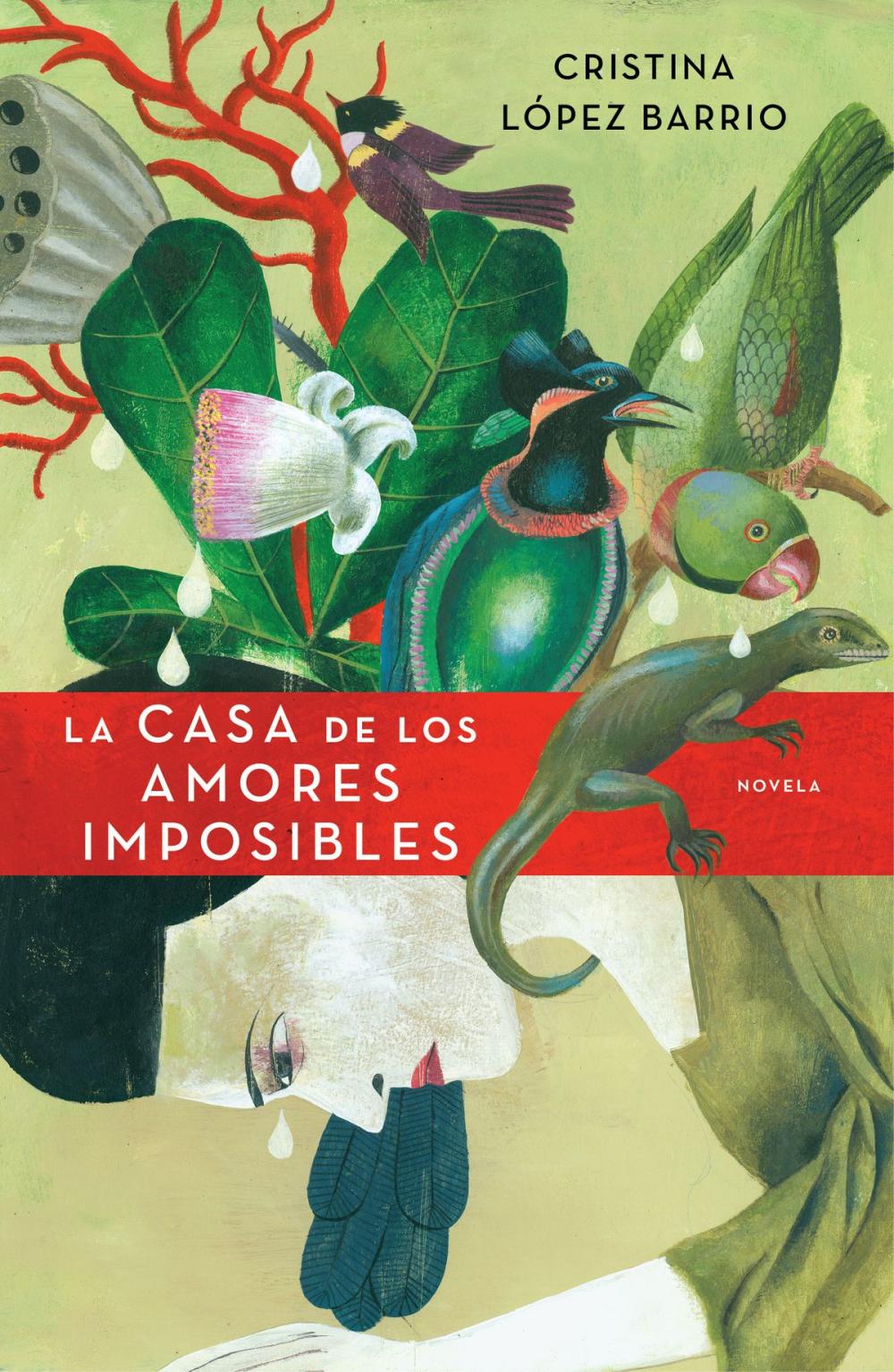 Big bigCover of La casa de los amores imposibles