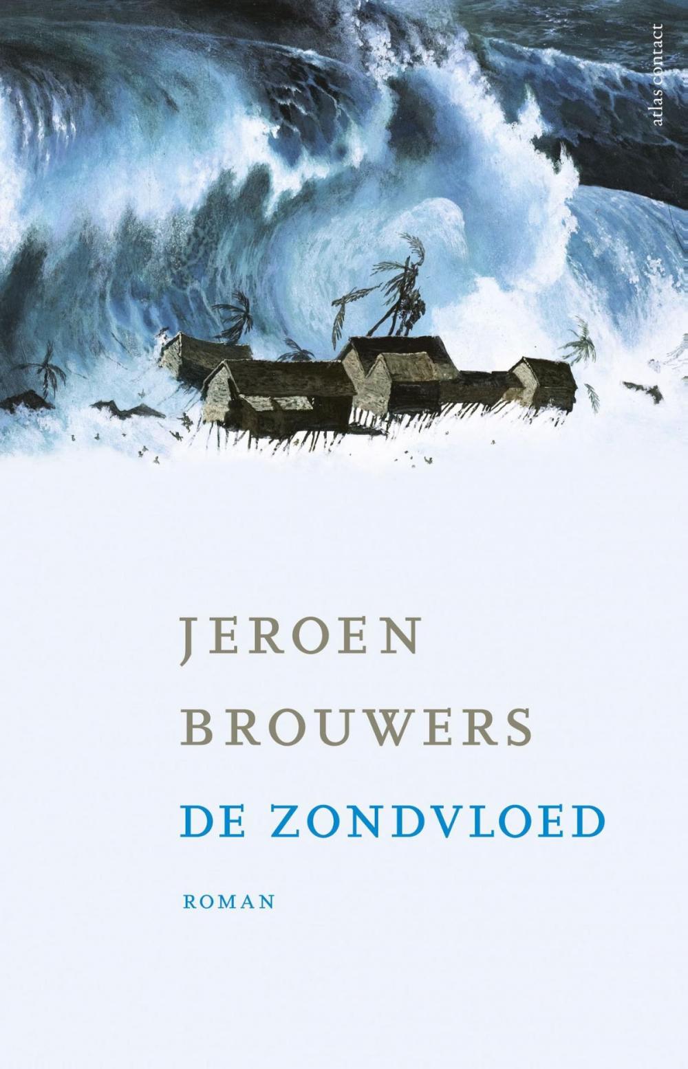 Big bigCover of De zondvloed