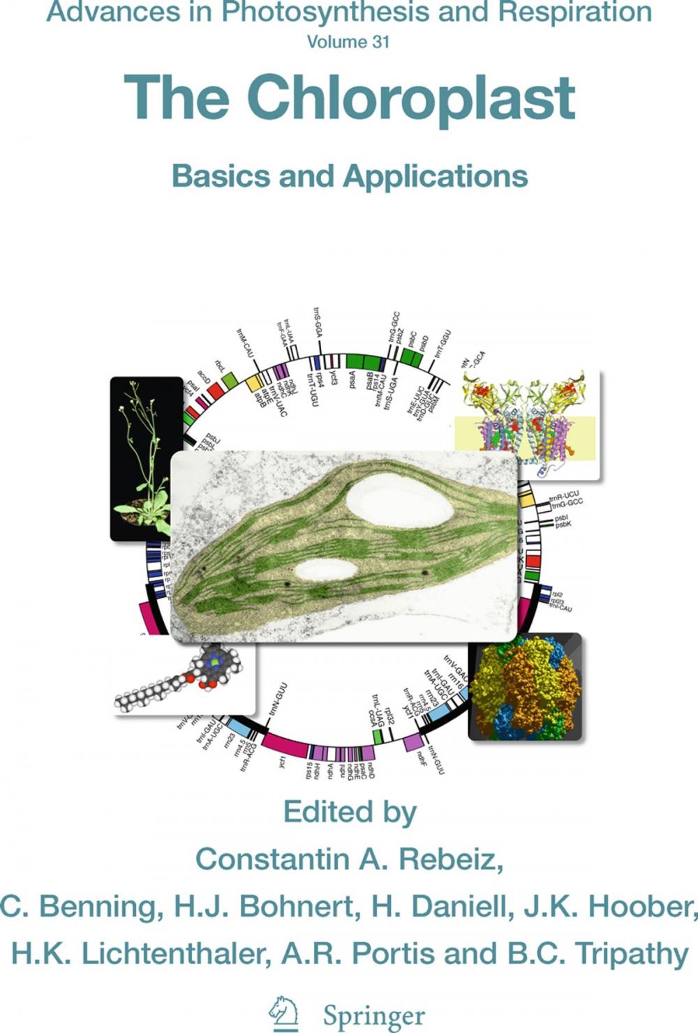 Big bigCover of The Chloroplast