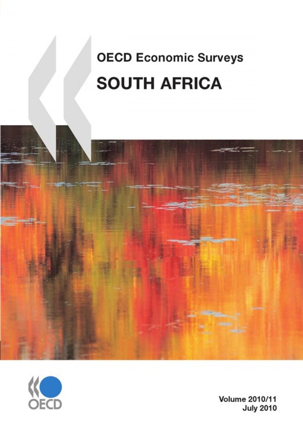 Big bigCover of OECD Economic Surveys: South Africa 2010