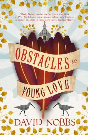 Book cover of Obstacles to Young Love