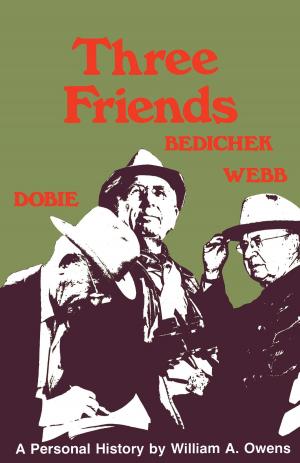 Cover of the book Three Friends by Casey Dué