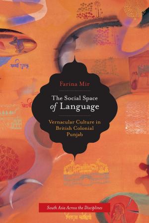 Cover of the book The Social Space of Language by Hilary Levey Friedman