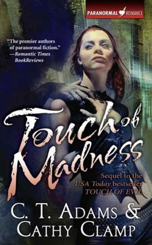 Cover of the book Touch of Madness by Kathleen O'Neal Gear