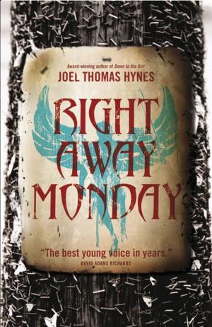 Cover of the book Right Away Monday by Robin Farley