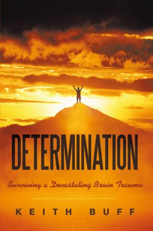 Cover of the book Determination by Joan Del Monte