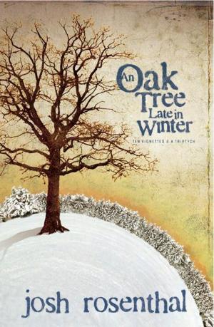 Cover of the book An Oak Tree Late in Winter by Karen S. Roberts