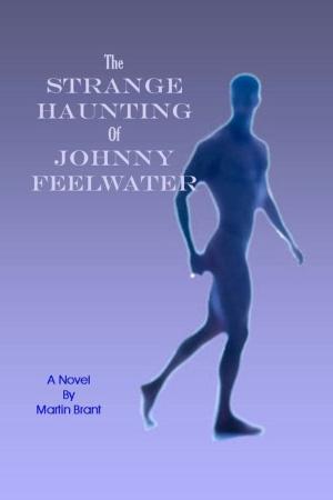 Cover of the book The Strange Haunting of Johnny Feelwater by 