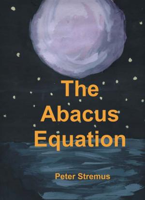 Cover of the book The Abacus Equation by Francis Perry