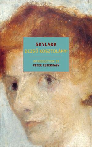 Cover of the book Skylark by John Berger