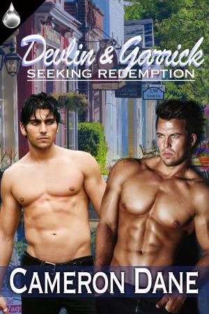 Cover of the book Devlin and Garrick by G. L. Leigh