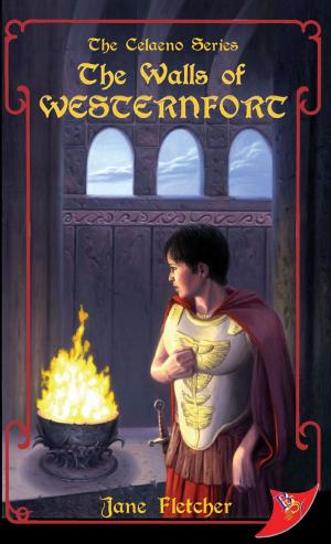 Cover of the book The Walls of Westernfort by Cassandra Stryffe
