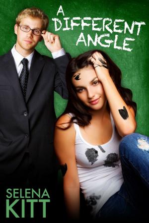 Cover of the book A Different Angle by Rachael Herron