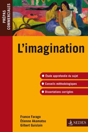Book cover of L'imagination -épreuve de culture générale 2010-2011