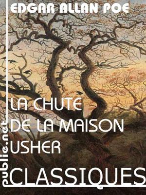 Cover of the book La chute de la maison Usher by Stéphanie Benson