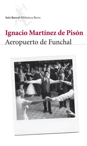 Cover of the book Aeropuerto de Funchal by Daniel Tubau