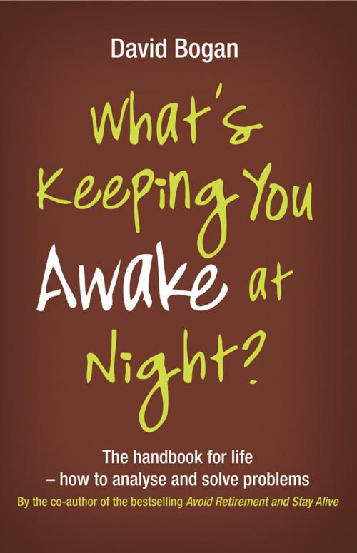 Cover of the book What's Keeping You Awake at Night by David Bogan, HarperCollins