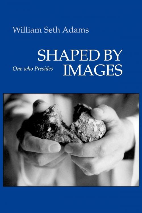 Cover of the book Shaped by Images by William Seth Adams, Church Publishing Inc.