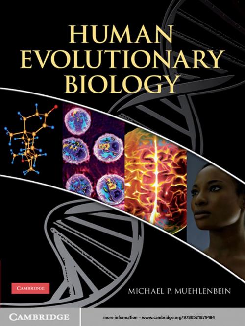 Cover of the book Human Evolutionary Biology by , Cambridge University Press