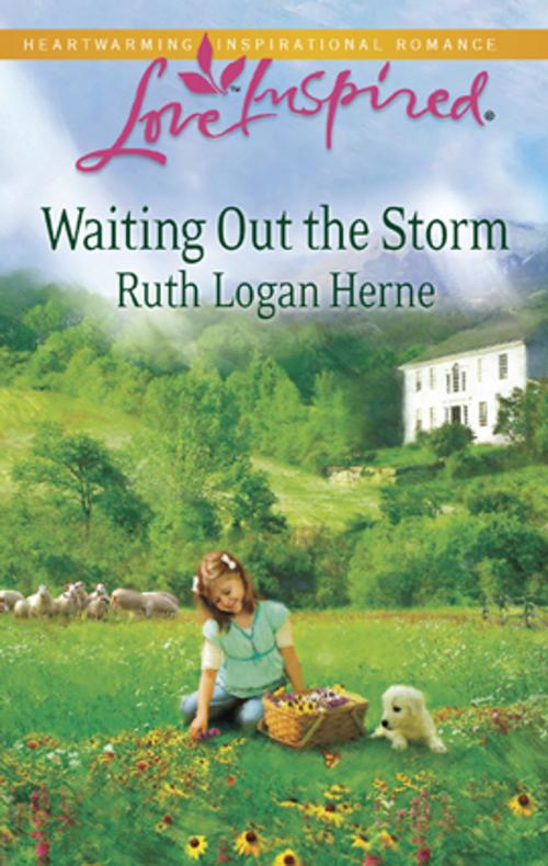 Cover of the book Waiting Out the Storm by Ruth Logan Herne, Steeple Hill