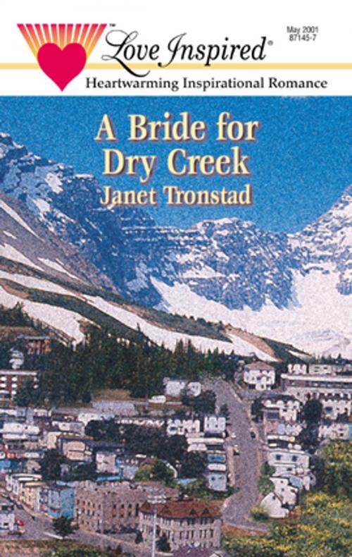 Cover of the book A Bride for Dry Creek by Janet Tronstad, Steeple Hill