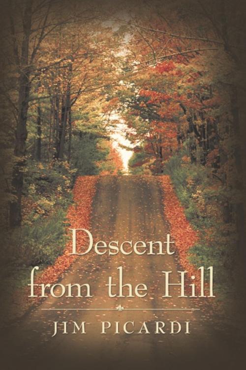 Cover of the book Descent from the Hill by Jim Picardi, iUniverse