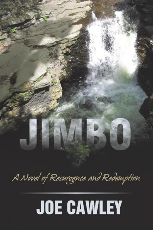 Cover of the book Jimbo by Joe Cawley, iUniverse