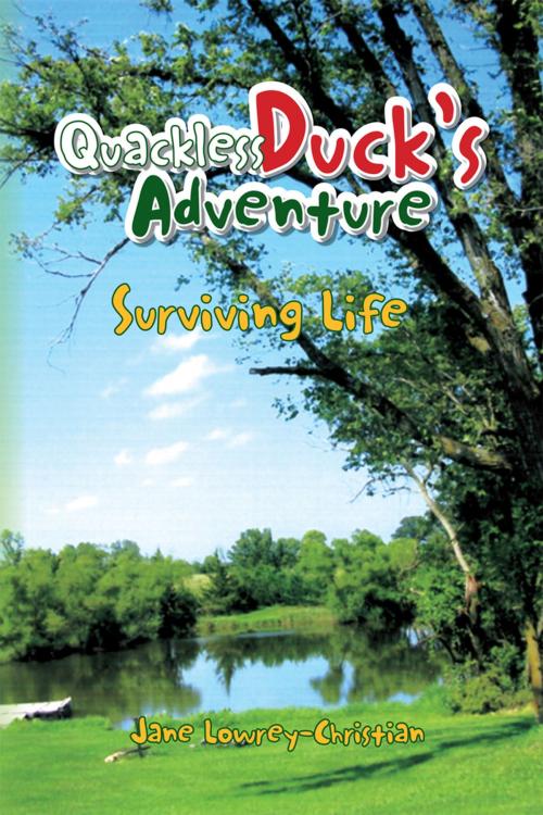 Cover of the book Quackless Duck's Adventure by Jane Lowrey-Christian, Xlibris US