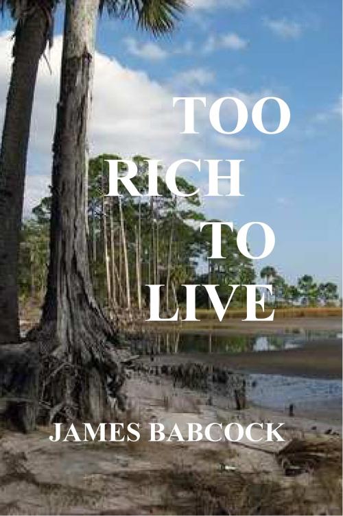 Cover of the book Too Rich to Live: Was it Suicide--or Murder? by James Babcock, James Babcock