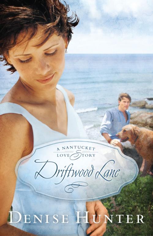 Cover of the book Driftwood Lane by Denise Hunter, Thomas Nelson