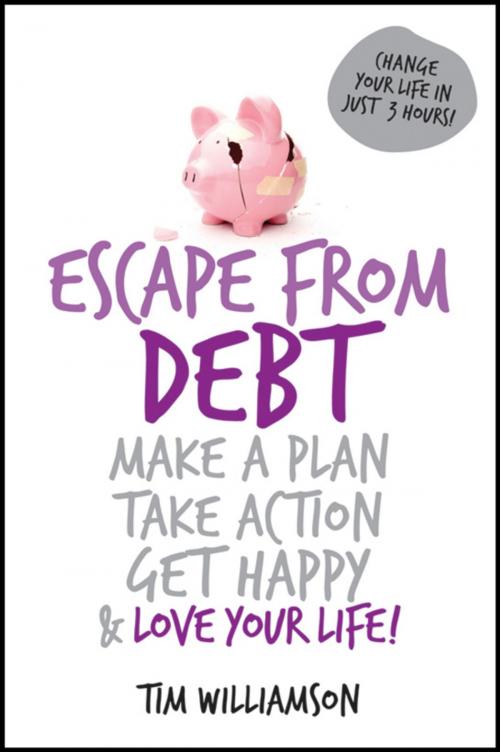 Cover of the book Escape From Debt by Tim Williamson, Wiley