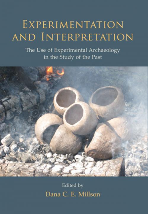 Cover of the book Experimentation and Interpretation by Dana C. E. Millson, Oxbow Books