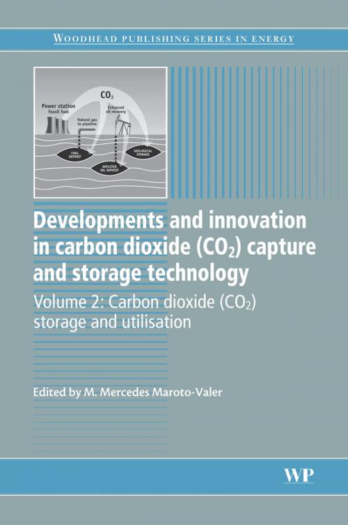 Cover of the book Developments and Innovation in Carbon Dioxide (CO2) Capture and Storage Technology by , Elsevier Science