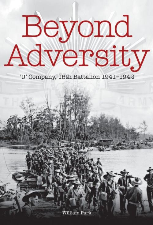 Cover of the book Beyond Adversity by William Park, Big Sky Publishing