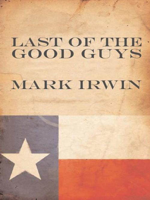 Cover of the book Last of the Good Guys by Mark Irwin, Ardith Publishing
