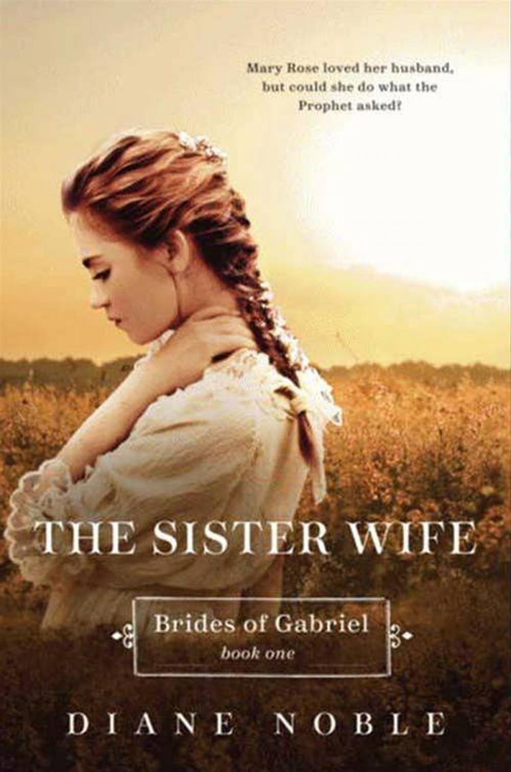 Big bigCover of The Sister Wife