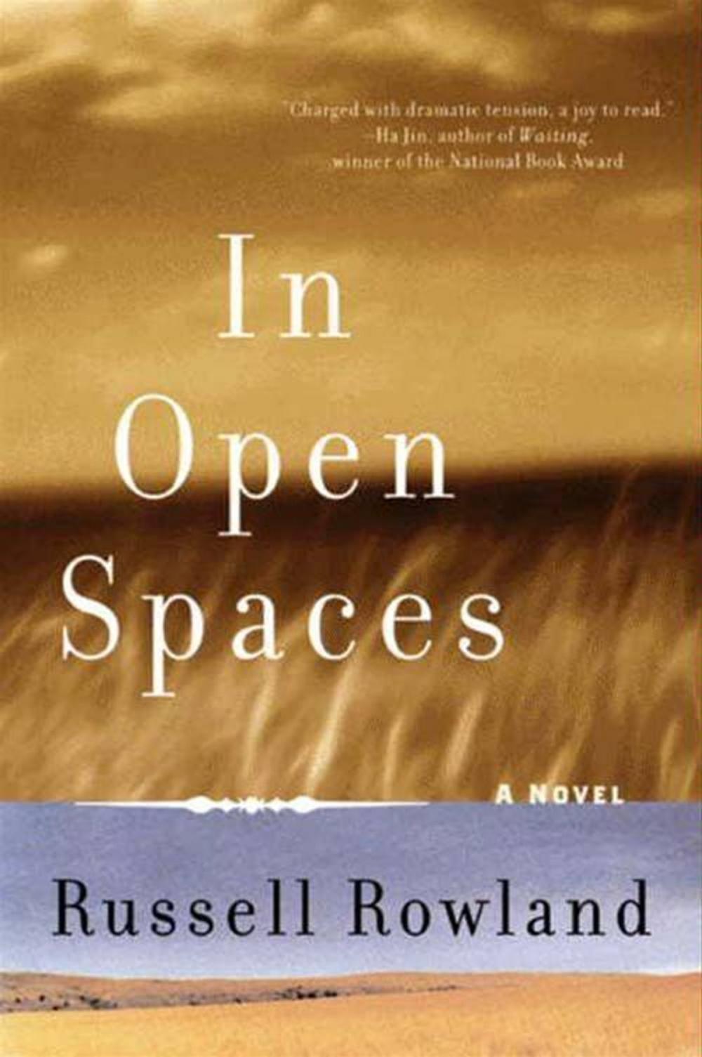 Big bigCover of In Open Spaces