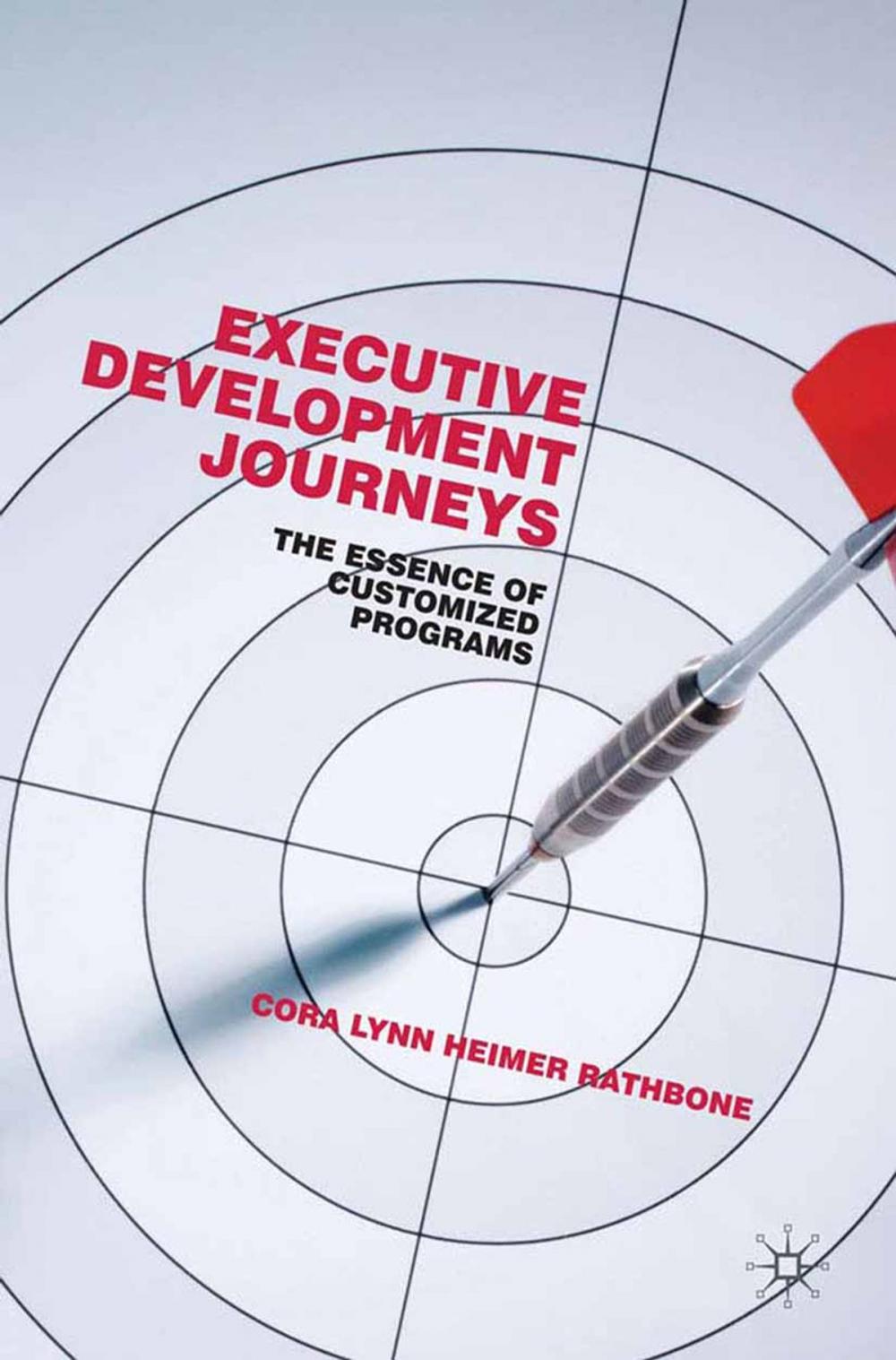 Big bigCover of Executive Development Journeys