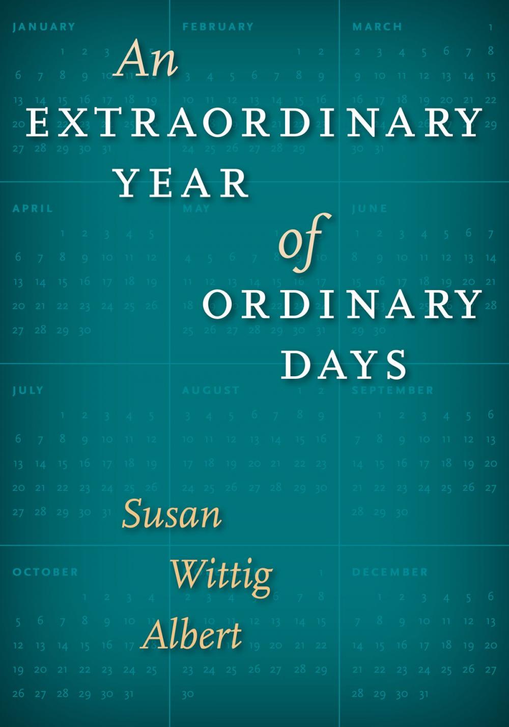 Big bigCover of An Extraordinary Year of Ordinary Days