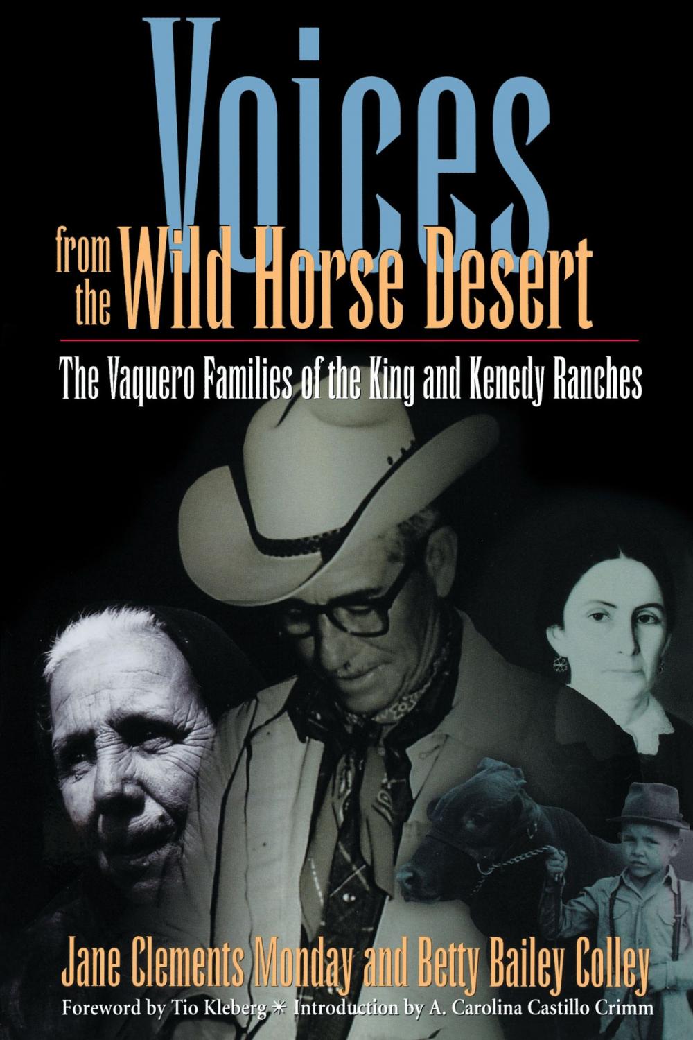 Big bigCover of Voices from the Wild Horse Desert