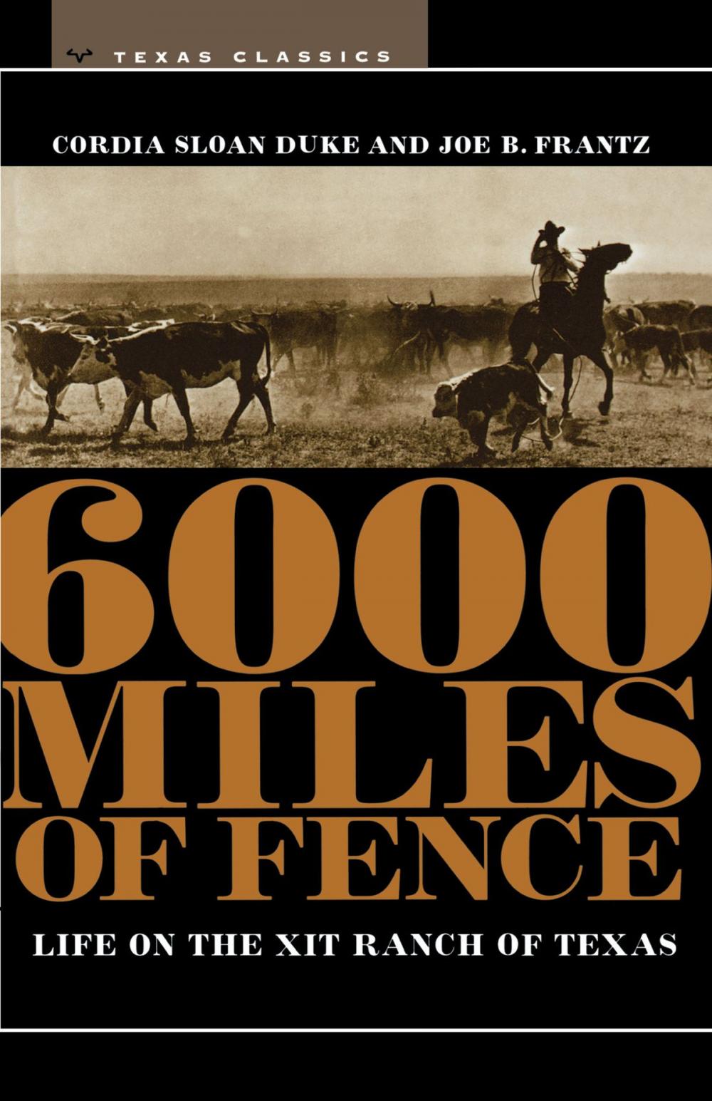 Big bigCover of 6000 Miles of Fence