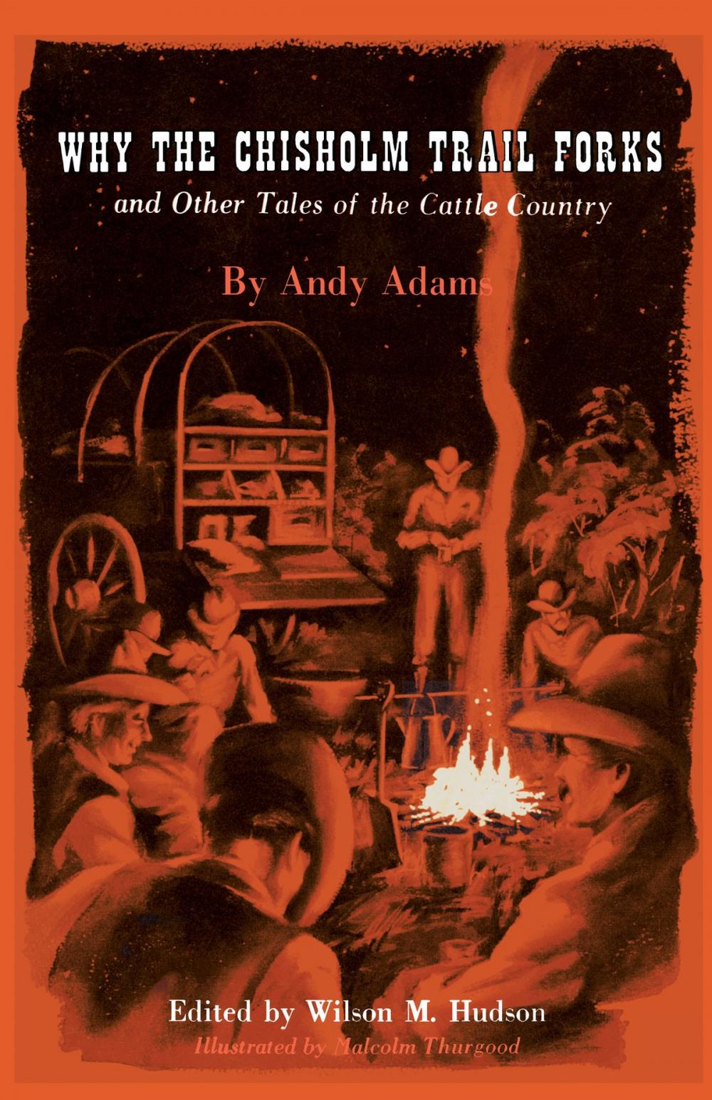 Big bigCover of Why the Chisholm Trail Forks and Other Tales of the Cattle Country