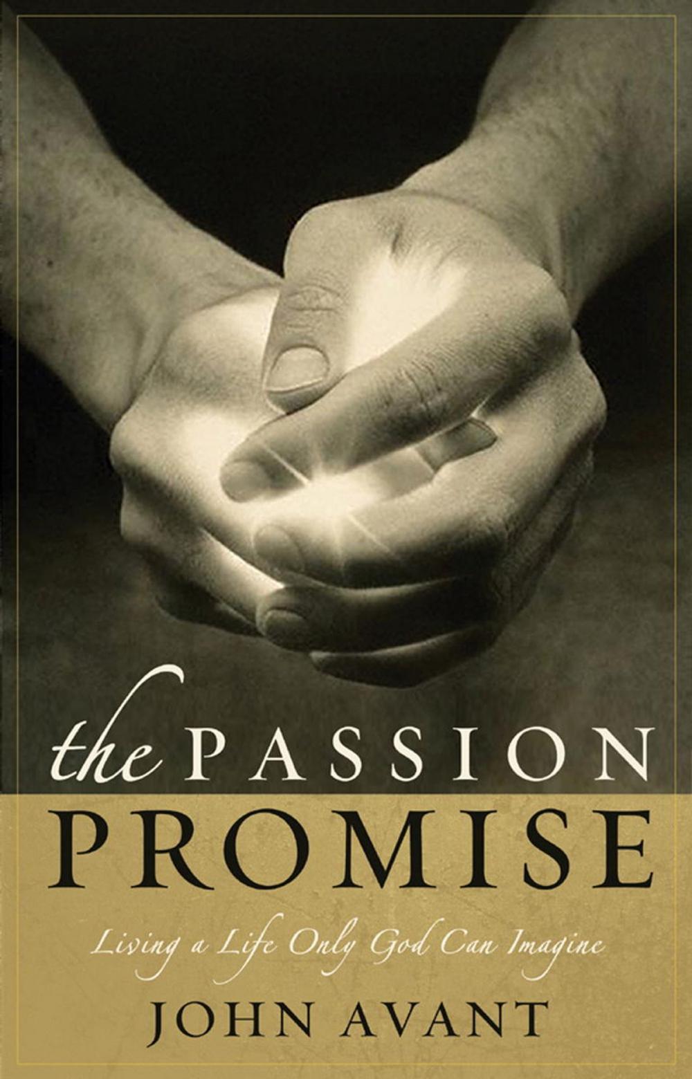 Big bigCover of The Passion Promise