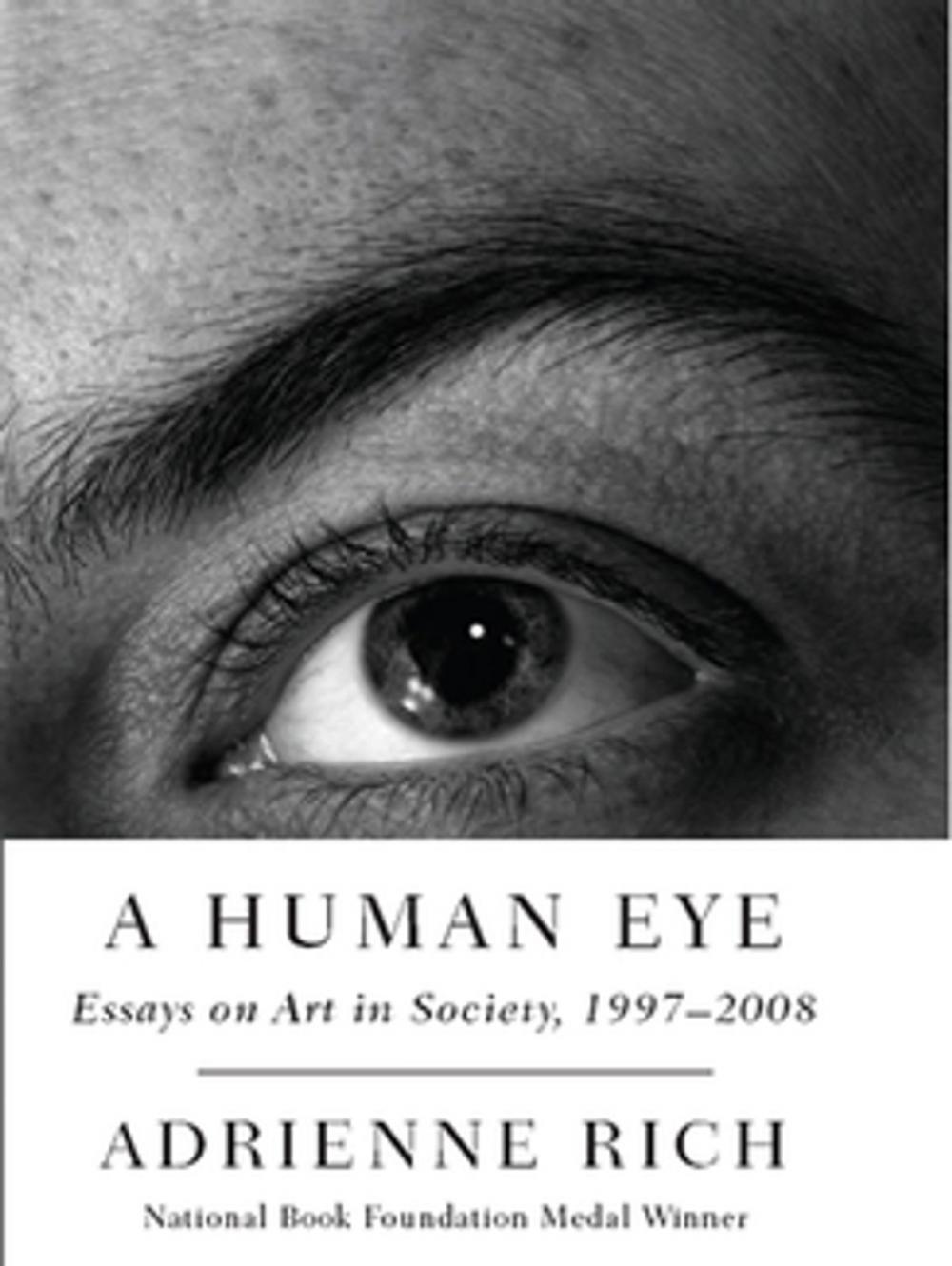 Big bigCover of A Human Eye: Essays on Art in Society, 1996-2008