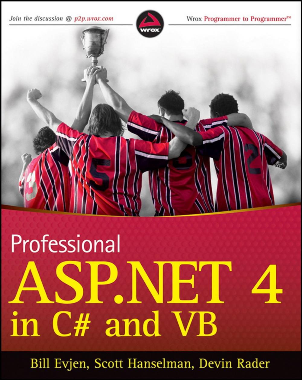 Big bigCover of Professional ASP.NET 4 in C# and VB