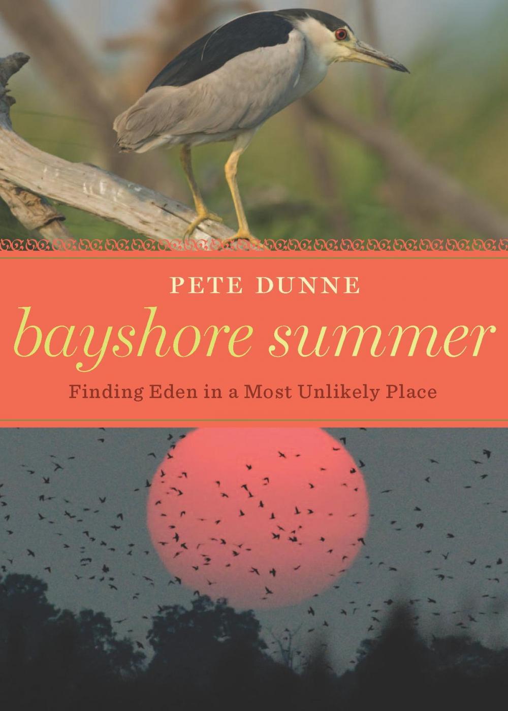 Big bigCover of Bayshore Summer